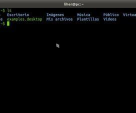 Que es y como instalar Unetbootin en Ubuntu mediante PPA terminal-ubuntu-ls