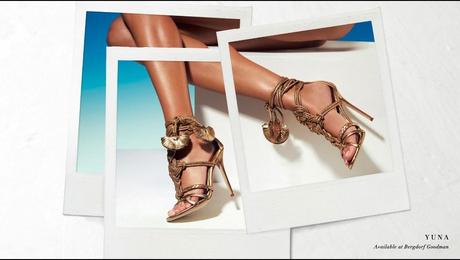 Brian Atwood Spring 2014