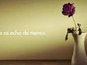 ¿Nadie echa menos?