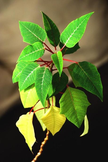 TU TIEMPO IMPERDONABLE…