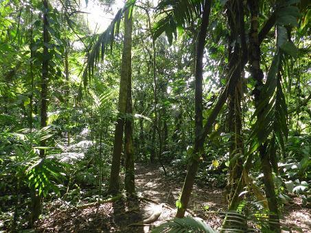 Qué visitar en Arenal, la región del gran volcán de Costa Rica