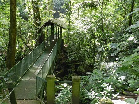 Qué visitar en Arenal, la región del gran volcán de Costa Rica