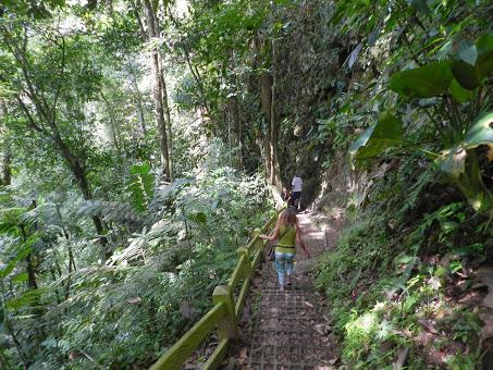 Qué visitar en Arenal, la región del gran volcán de Costa Rica