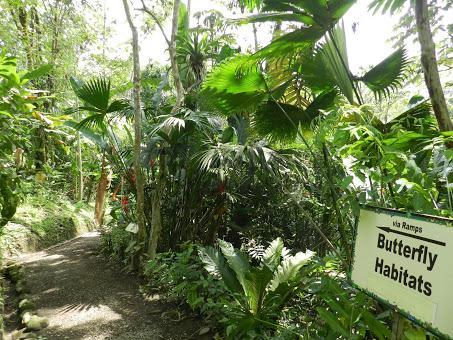 Qué visitar en Arenal, la región del gran volcán de Costa Rica