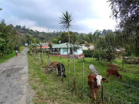 Qué visitar en Arenal, la región del gran volcán de Costa Rica