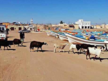 La Costa de Sharqiyah: de Qurayat a Al-Ashkarah