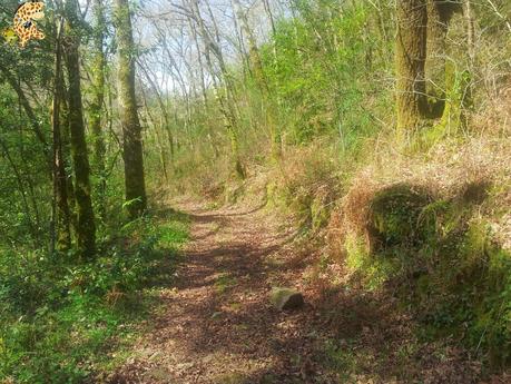 Senderismo por Coruña: Ruta de As Pías a Zarzo