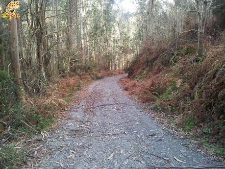 Senderismo por Coruña: Ruta de As Pías a Zarzo