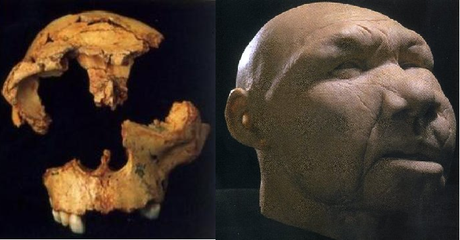 yacimientos-de-atapuerca