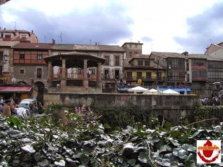 Potes Potes