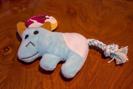 PetSecret: Detalles para mi mascota