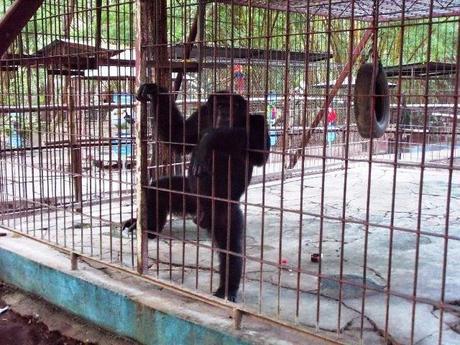 ¿Qué ver en Juigalpa en dos horas o menos?