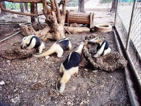 ¿Qué ver en Juigalpa en dos horas o menos?