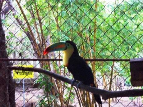 ¿Qué ver en Juigalpa en dos horas o menos?