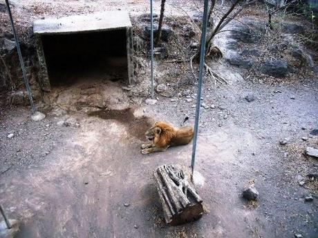 ¿Qué ver en Juigalpa en dos horas o menos?