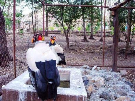 ¿Qué ver en Juigalpa en dos horas o menos?