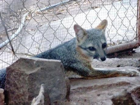 ¿Qué ver en Juigalpa en dos horas o menos?