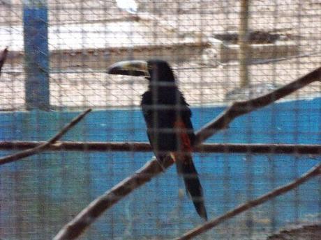 ¿Qué ver en Juigalpa en dos horas o menos?