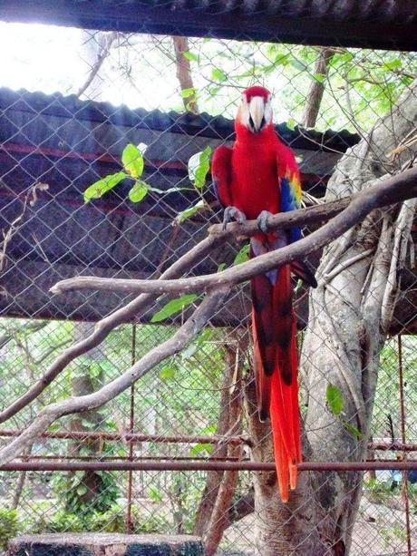 ¿Qué ver en Juigalpa en dos horas o menos?