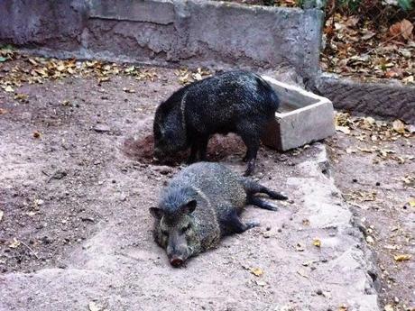 ¿Qué ver en Juigalpa en dos horas o menos?