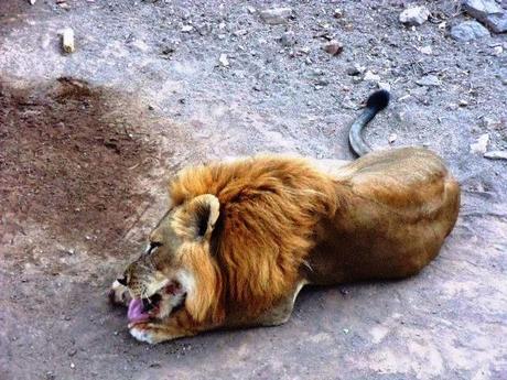 ¿Qué ver en Juigalpa en dos horas o menos?