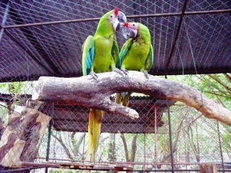 ¿Qué ver en Juigalpa en dos horas o menos?