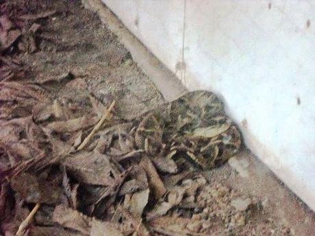 ¿Qué ver en Juigalpa en dos horas o menos?