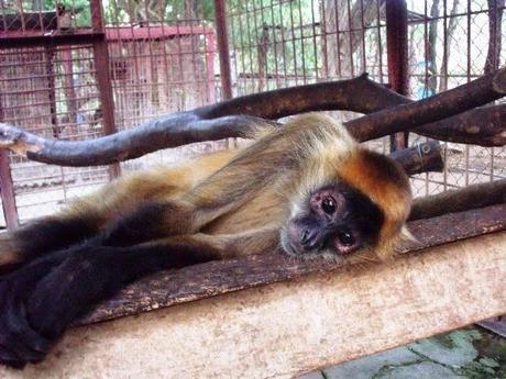 ¿Qué ver en Juigalpa en dos horas o menos?