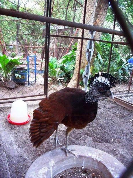 ¿Qué ver en Juigalpa en dos horas o menos?