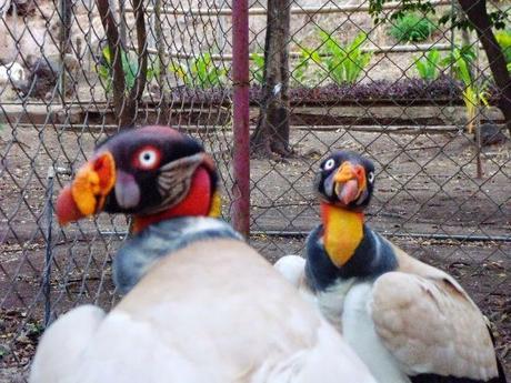 ¿Qué ver en Juigalpa en dos horas o menos?