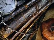 esta tierra quemada...