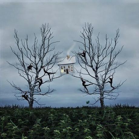 PLANES DE DOMINGO...