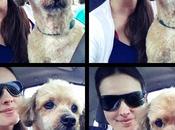 perfume perros