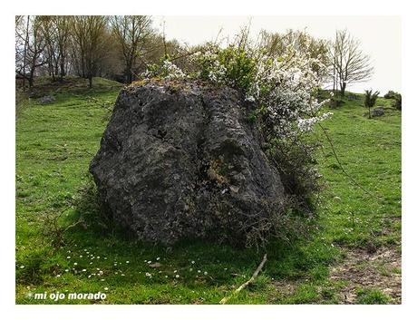 Piedras en el camino
