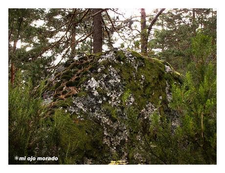 Piedras en el camino