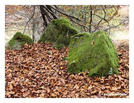 Piedras en el camino