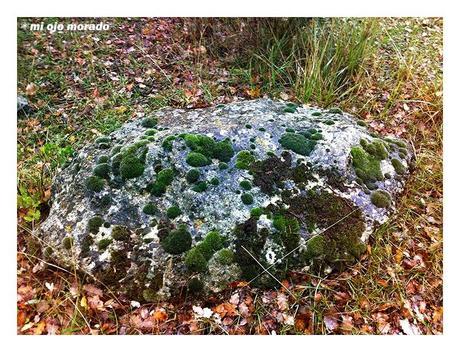 Piedras en el camino