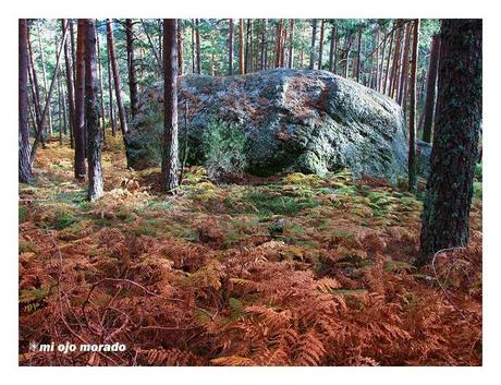 Piedras en el camino