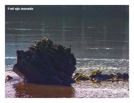 Piedras en el camino