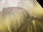 Reseña: Adivina Quien Megan Maxwell