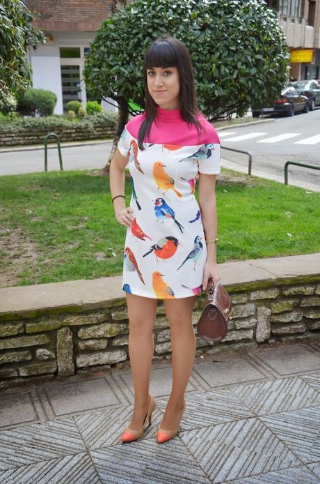 Oasap: Birds dress!!!