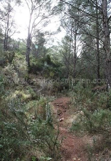 Desierto de las Palmas, paraje natural de soledad y silencio