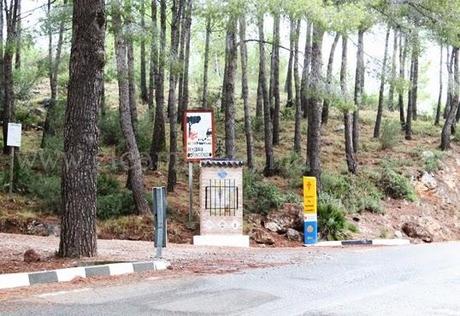 Desierto de las Palmas, paraje natural de soledad y silencio