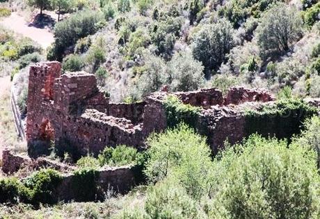 Desierto de las Palmas, paraje natural de soledad y silencio