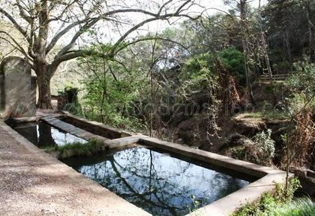 Desierto de las Palmas, paraje natural de soledad y silencio