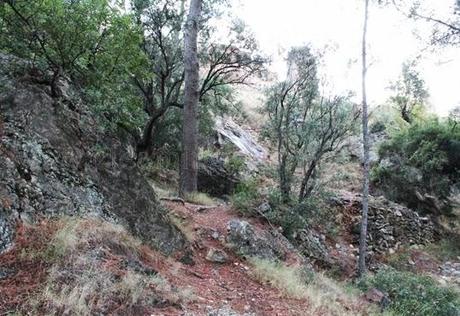 Desierto de las Palmas, paraje natural de soledad y silencio