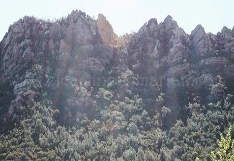 Desierto de las Palmas, paraje natural de soledad y silencio