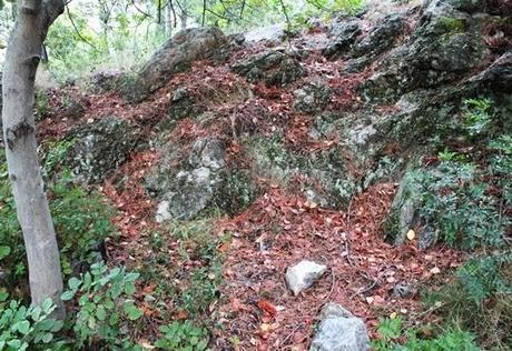 Desierto de las Palmas, paraje natural de soledad y silencio