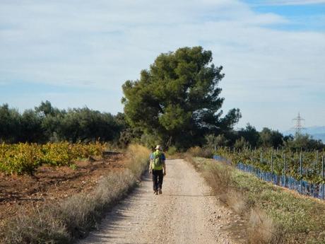 De Santes Creus a Valls (Tarragona)