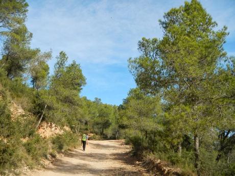 De Santes Creus a Valls (Tarragona)